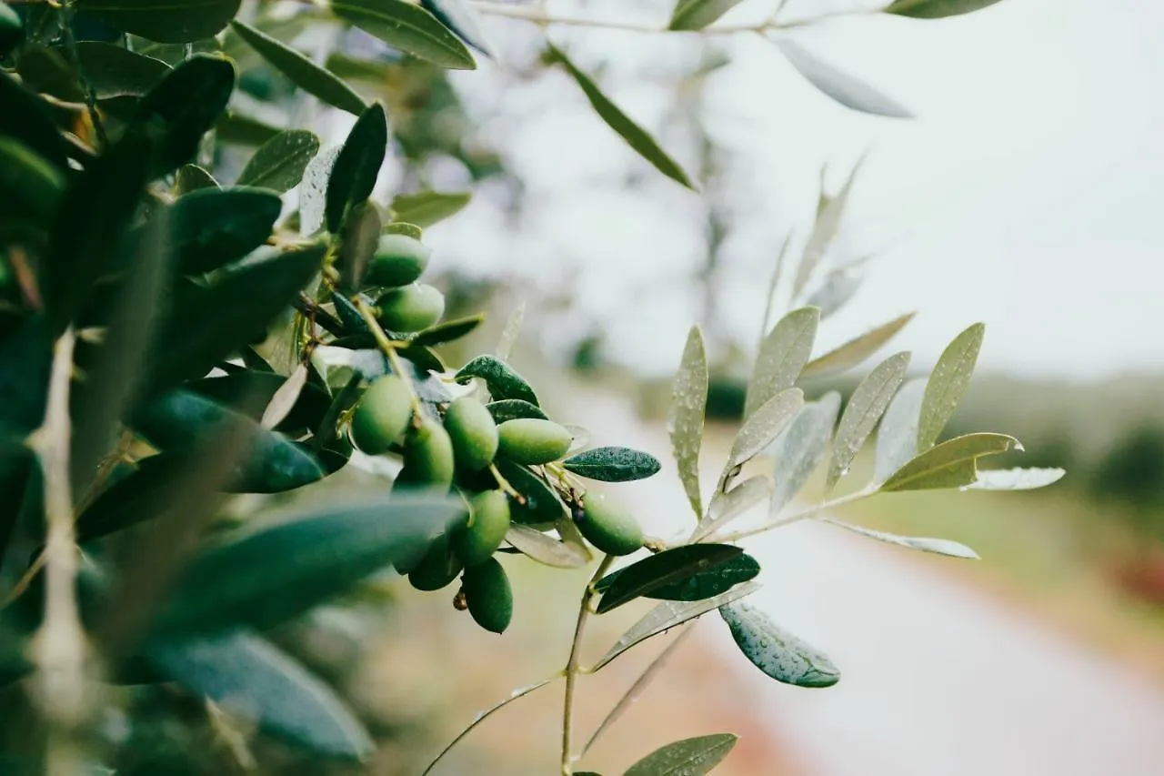 Appartamento La Pinetina Valderice